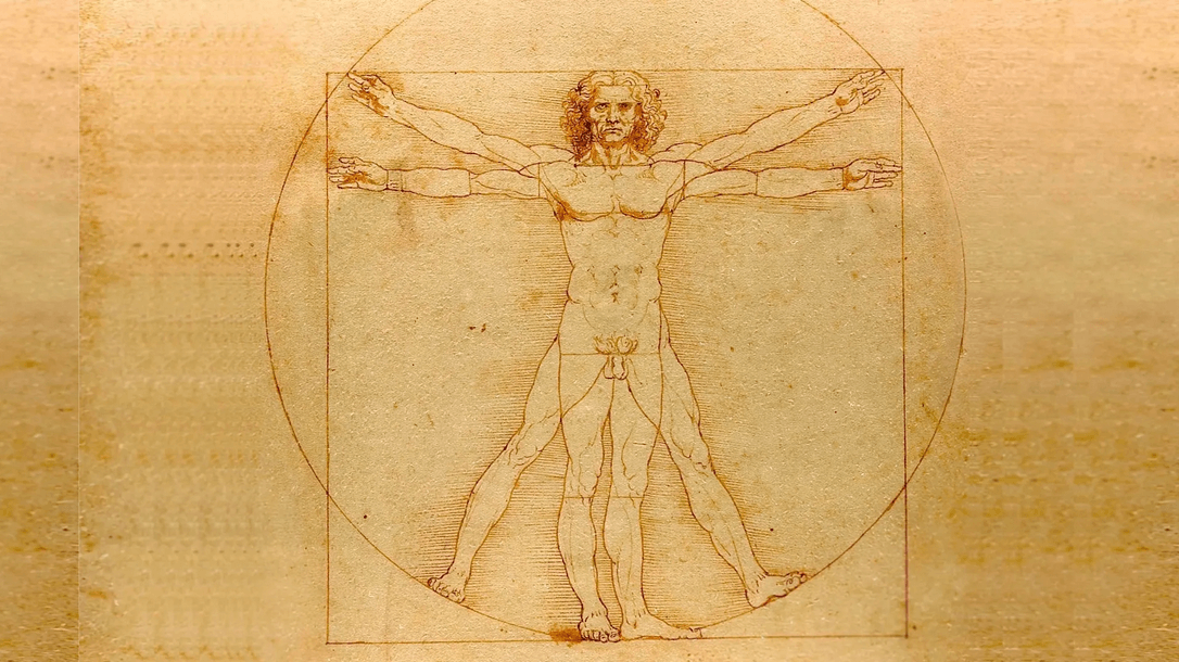 Hombre de Vitruvio. Original de Da Vinci conservado en la Galleria de L´Academia, Venecia, Italia.